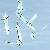 AngelFeather.jpg AngelFeather.jpg