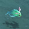 AngelFish.jpg
