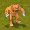 Bear.jpg Bear.jpg