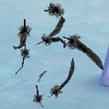 DarkFeather.jpg