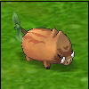 EcoBou.jpg EcoBou.jpg