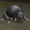 HannyaGumo.jpg