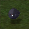 Kokkarasu.jpg