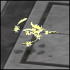 LuminanceFeather.jpg