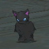 NightBat.jpg