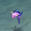 SwimFish.jpg