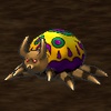 Tarantula.jpg