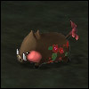 UmeBoar.jpg