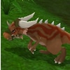 WildDorago.jpg WildDorago.jpg