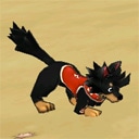OmekashiBlackTan.jpg