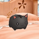 Catdoll_black.jpg