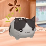 Catdoll_buti.jpg