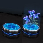 Hologramflower.jpg