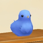 Mysterybird_b.jpg