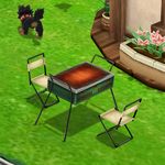 bbqset.jpg