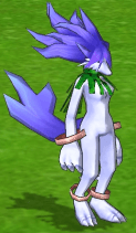 Salamandra-selene.png