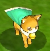 nekoorange.jpg