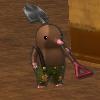Tarupa.JPG