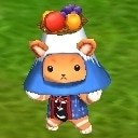 gotouchichubu.jpg
