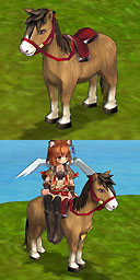 makibanopony.jpg