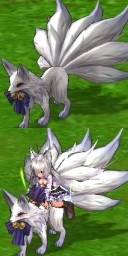 nine-tailedfox.jpg
